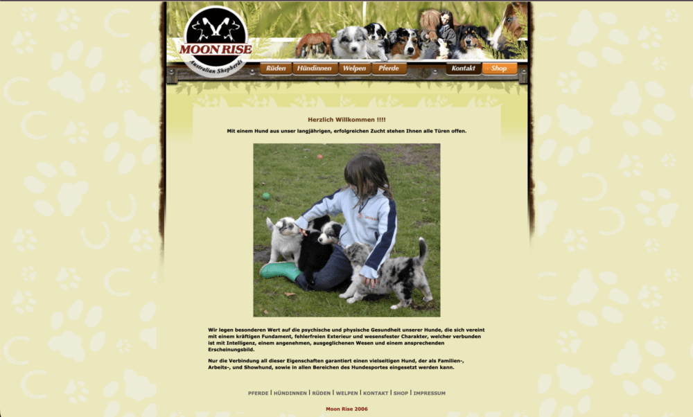 Webdesign